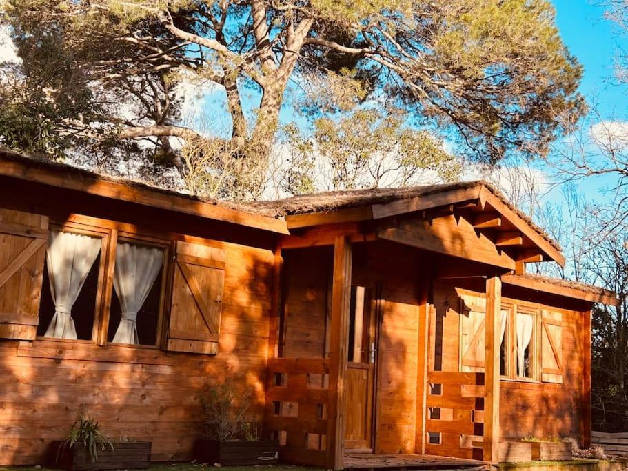 Chalet Bois Jacuzzi Bessan Exterior foto